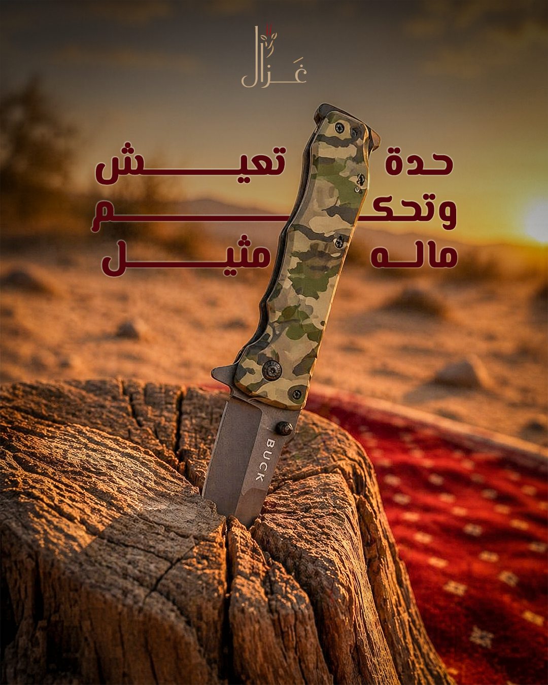 Gazal — حدة تعيش.. وتحكم ماله مثيل